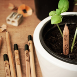 Sprout A Pencil That Grows 1