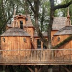 The Coolest Tree House 1