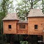 The Coolest Tree House 2