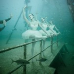 Underwater Exhibition