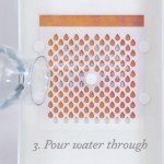 Water Life Drinkable Book2