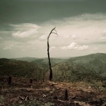 africa-darran-5