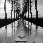 antonio_mora13