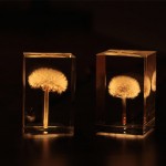 dandelionlight-1