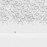 hossein-01