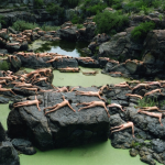 spencertunick-18