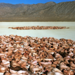 spencertunick-19