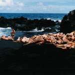 spencertunick-20