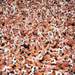 spencertunick-21