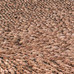 spencertunick-3