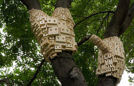 Bunches of Birdhouses Wrapped Around Trees