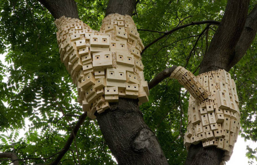 Bunches of Birdhouses Wrapped Around Trees