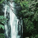 2-Wailua Falls in Hawaii-Sept1995 2-Wailua Falls in Hawaii-Sept1995