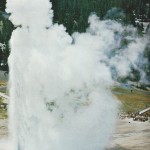 46-Jets of boiling water wave a snowy plume of steam in an eruption of Old Faithful Geyser in Yellowstone National Park-Dec1965 46-Jets of boiling water wave a snowy plume of steam in an eruption of Old Faithful Geyser in Yellowstone National Park-Dec1965