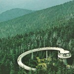 57-Observation on Clingmans Dome in North Carolina-May1970 57-Observation on Clingmans Dome in North Carolina-May1970
