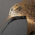 ClaireBrewster-2bis