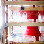 Collaborative Cooking by Christian Isberg 4