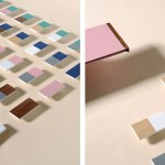 Epiforma - Meanwhile Curiosities4a