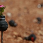 Flowers Grown Inside Grenades4