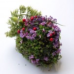 Human Organs from Plants and Flowers3