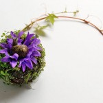 Human Organs from Plants and Flowers4