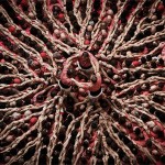 Human Towers Aerial Photos by David Oliete 3
