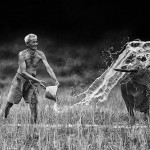 Life In Indonesian Villages Captured by Herman Damar 19