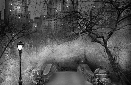Black And White Landscapes of Central Park