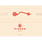 Pigeon-11