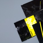 Playpark Brand Identity4