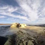 Polar Bears - The Quest for Sea Ice 1