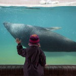 Sad Images at Berlin Zoo13