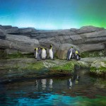 Sad Images at Berlin Zoo2