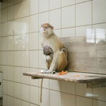 Sad Images at Berlin Zoo7