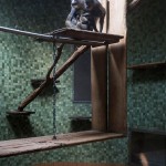 Sad Images at Berlin Zoo8