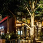 Starbucks Store at Downtown Disney Orlando 8