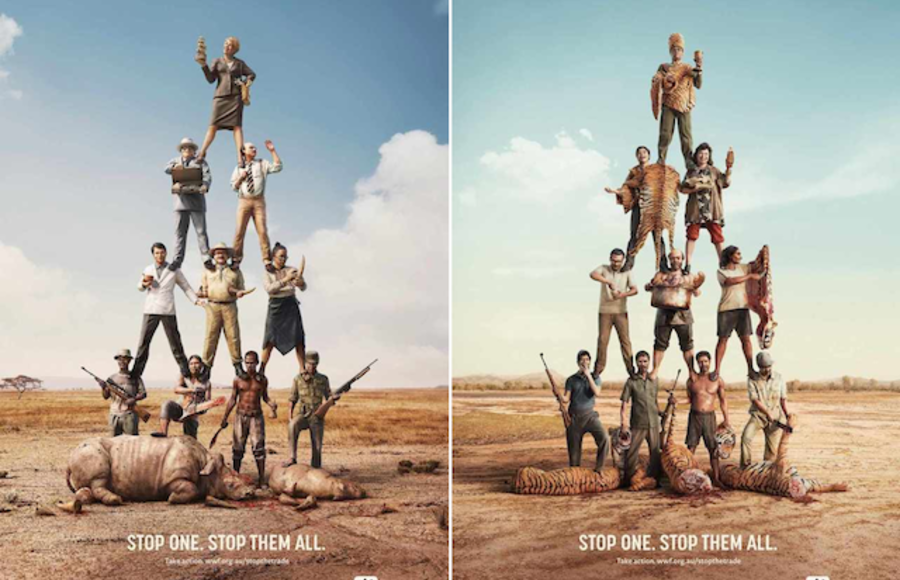 WWF Campaign – Stop One Stop Them All
