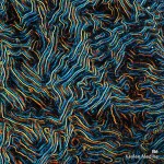 adobecloud-19