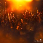 adobecloud-24