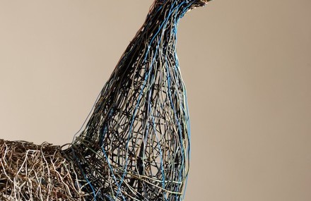 Birds Sculptures In Wires