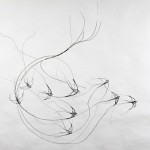 celiasmith-13