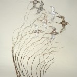celiasmith-4
