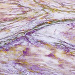 desertcolors-1