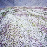 desertcolors-5