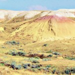 desertcolors-6