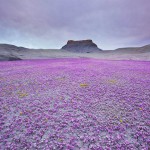 desertcolors-7