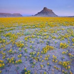 desertcolors-9