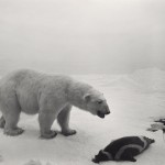 dioramas-2