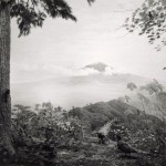 dioramas-7