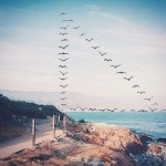 flyingformations-1